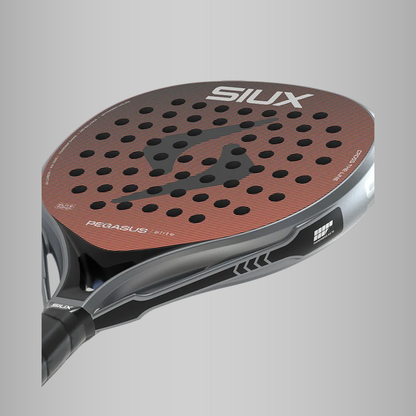 Siux Pegasus Elite 2026