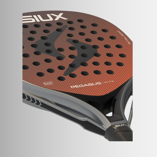 Siux Pegasus Elite 2026