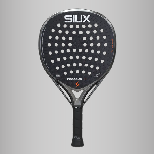 Siux Pegasus Pro 2026 Grey Storm