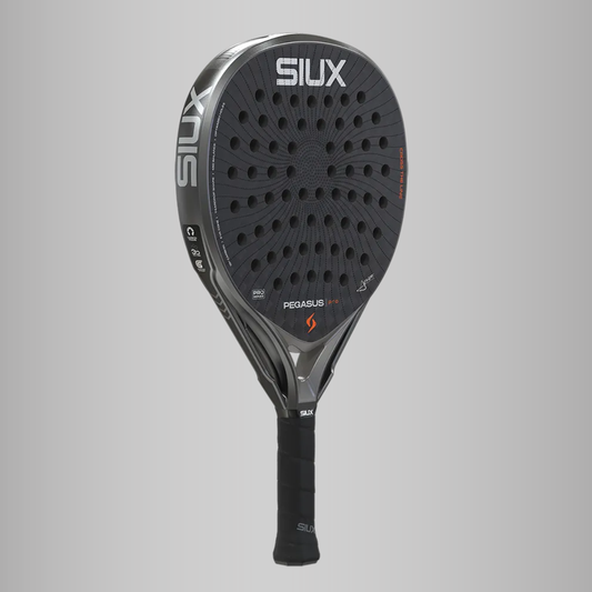 Siux Pegasus Pro 2026 Grey Storm